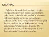 Infekcinis mielitas ir stomatitas 11 puslapis