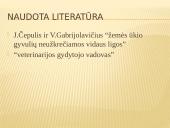 Infekcinis mielitas ir stomatitas 12 puslapis