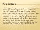 Infekcinis mielitas ir stomatitas 3 puslapis