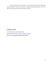 Profesinės dovanos 11 puslapis