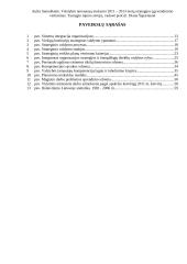 Metų strategijos įgyvendinimo vertinimas 2 puslapis