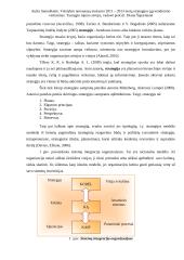 Metų strategijos įgyvendinimo vertinimas 11 puslapis