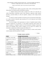 Metų strategijos įgyvendinimo vertinimas 12 puslapis