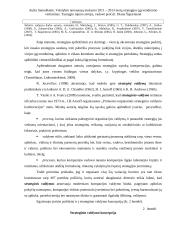 Metų strategijos įgyvendinimo vertinimas 13 puslapis