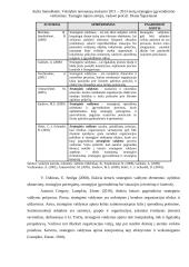 Metų strategijos įgyvendinimo vertinimas 14 puslapis