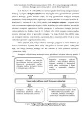 Metų strategijos įgyvendinimo vertinimas 15 puslapis