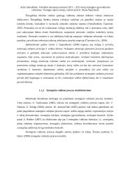 Metų strategijos įgyvendinimo vertinimas 16 puslapis