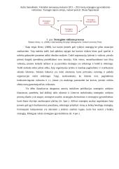 Metų strategijos įgyvendinimo vertinimas 17 puslapis