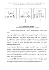 Metų strategijos įgyvendinimo vertinimas 18 puslapis
