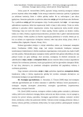 Metų strategijos įgyvendinimo vertinimas 19 puslapis