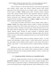 Metų strategijos įgyvendinimo vertinimas 20 puslapis