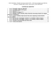 Metų strategijos įgyvendinimo vertinimas 3 puslapis