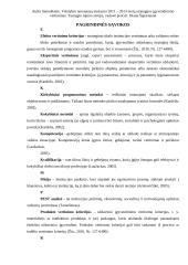 Metų strategijos įgyvendinimo vertinimas 4 puslapis