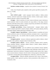 Metų strategijos įgyvendinimo vertinimas 5 puslapis