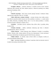 Metų strategijos įgyvendinimo vertinimas 6 puslapis