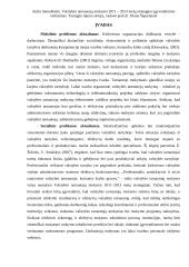 Metų strategijos įgyvendinimo vertinimas 7 puslapis