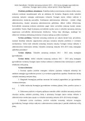 Metų strategijos įgyvendinimo vertinimas 8 puslapis