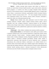 Metų strategijos įgyvendinimo vertinimas 9 puslapis