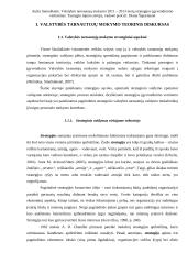 Metų strategijos įgyvendinimo vertinimas 10 puslapis