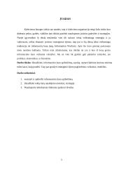 Informaciniai karai ir strateginiai ėjimai 3 puslapis