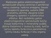 Laukų poveikis gyviems organizmams 11 puslapis