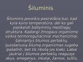 Laukų poveikis gyviems organizmams 14 puslapis