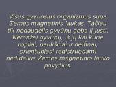 Laukų poveikis gyviems organizmams 4 puslapis