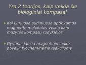 Laukų poveikis gyviems organizmams 5 puslapis