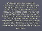 Laukų poveikis gyviems organizmams 6 puslapis