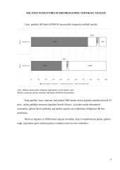 Banko Snoras veiklos analizė 6 puslapis