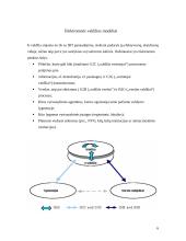 E.valdžios samprata ir modeliai 6 puslapis