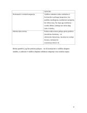 E.valdžios samprata ir modeliai 8 puslapis