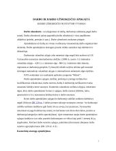 Darbo ir darbo užmokesčio apskaita biudžetinėje įstaigoje 3 puslapis