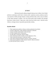 Organizacinė valdymo struktūra "Maxima" įmonėje 2 puslapis