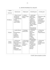 Organizacinė valdymo struktūra "Maxima" įmonėje 12 puslapis