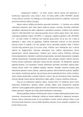 Organizacinė valdymo struktūra "Maxima" įmonėje 6 puslapis