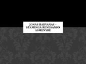 Jonas Radvanas – sėkminga Renesanso asmenybė