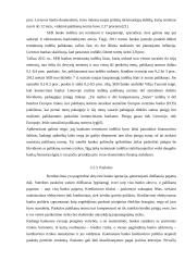 SEB banko veiklos analizė 13 puslapis