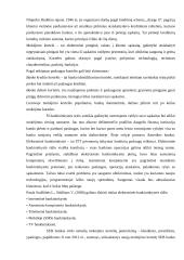SEB banko veiklos analizė 15 puslapis