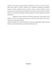 SEB banko veiklos analizė 18 puslapis