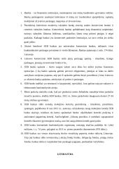 SEB banko veiklos analizė 19 puslapis