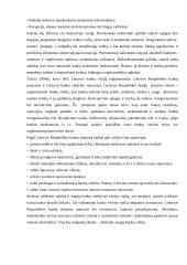SEB banko veiklos analizė 3 puslapis