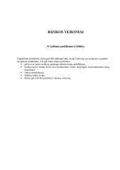 Individuali įmonė „Gėlių pasaulis“ verslo planas 14 puslapis