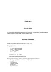Individuali įmonė „Gėlių pasaulis“ verslo planas 9 puslapis
