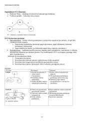 Vadybos konspektas atsiskaitymui 11 puslapis