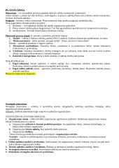 Vadybos konspektas atsiskaitymui 19 puslapis