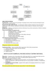 Vadybos konspektas atsiskaitymui 20 puslapis