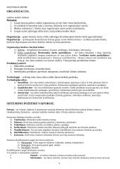 Vadybos konspektas atsiskaitymui 3 puslapis