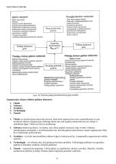 Vadybos konspektas atsiskaitymui 6 puslapis