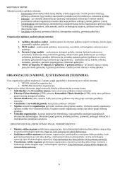 Vadybos konspektas atsiskaitymui 8 puslapis